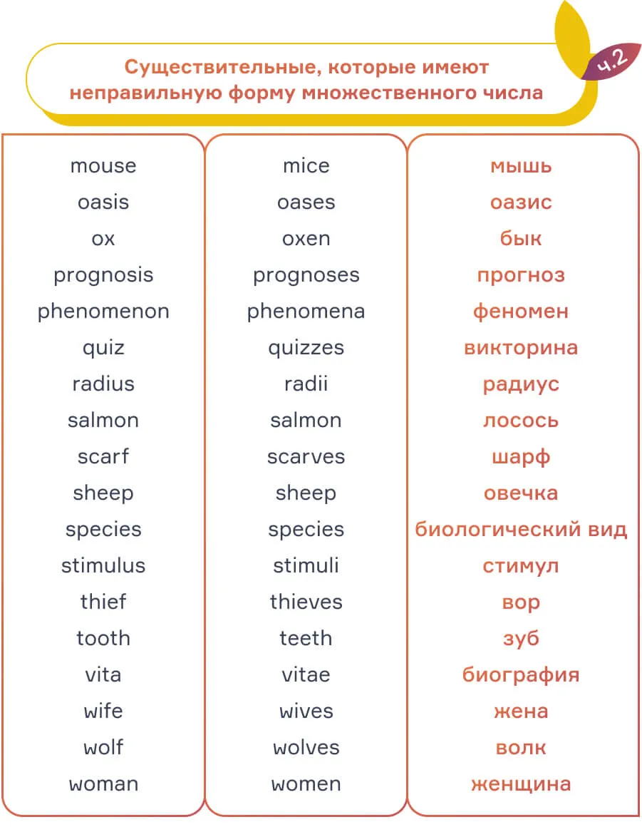 2 - Существительные в английском языке: блог cambridge.ua