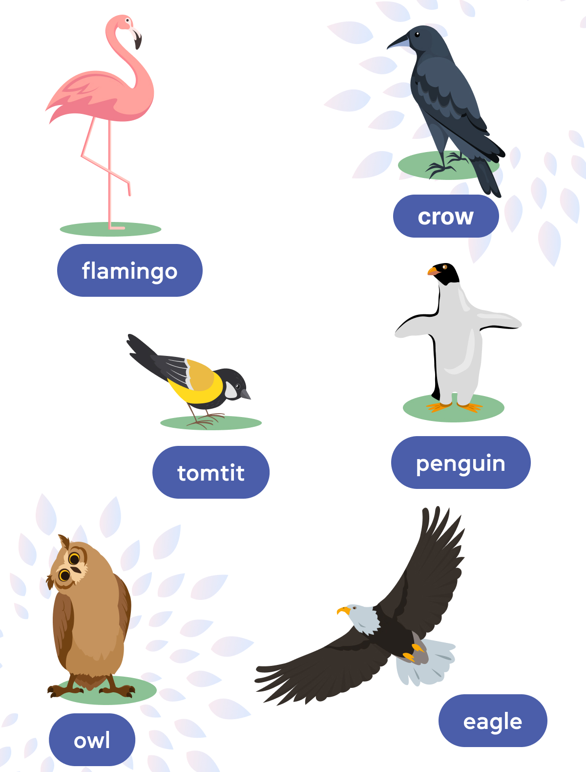 Вчимо назви тварин англійською мовою - cambridge.ua