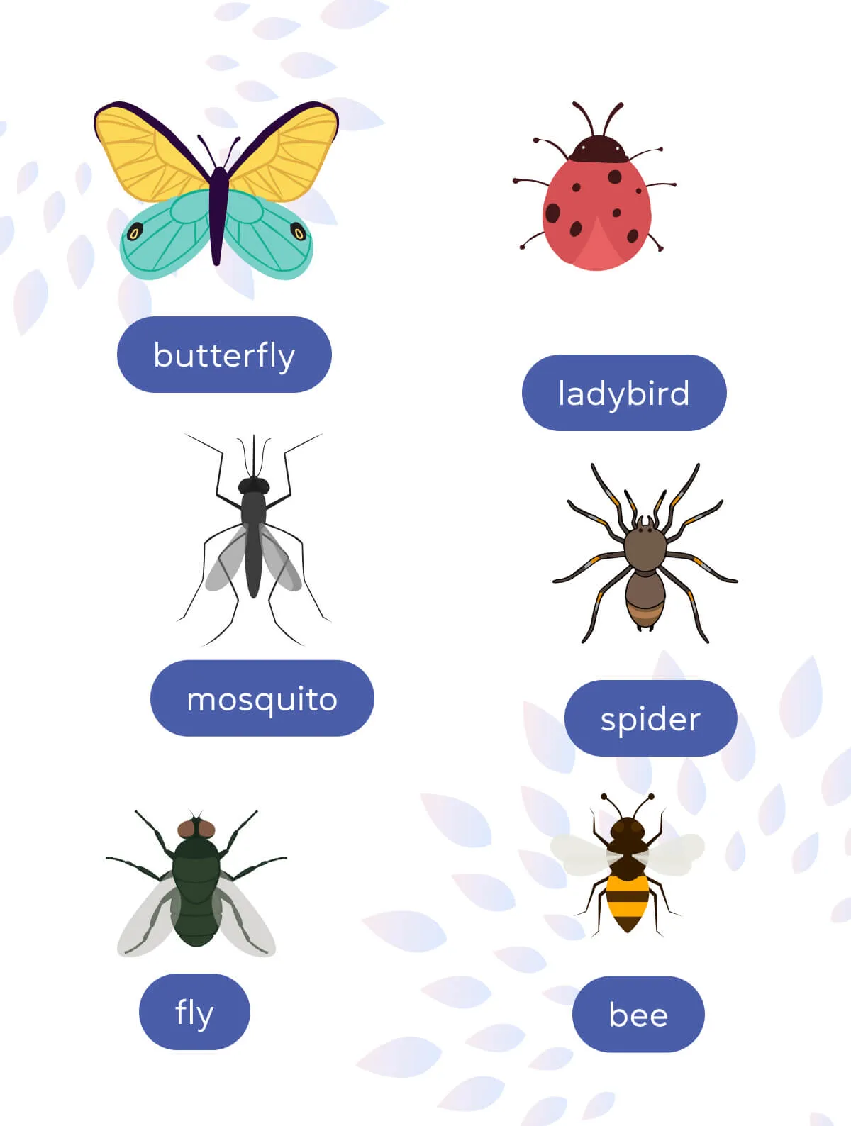 Комахи англійською мовою