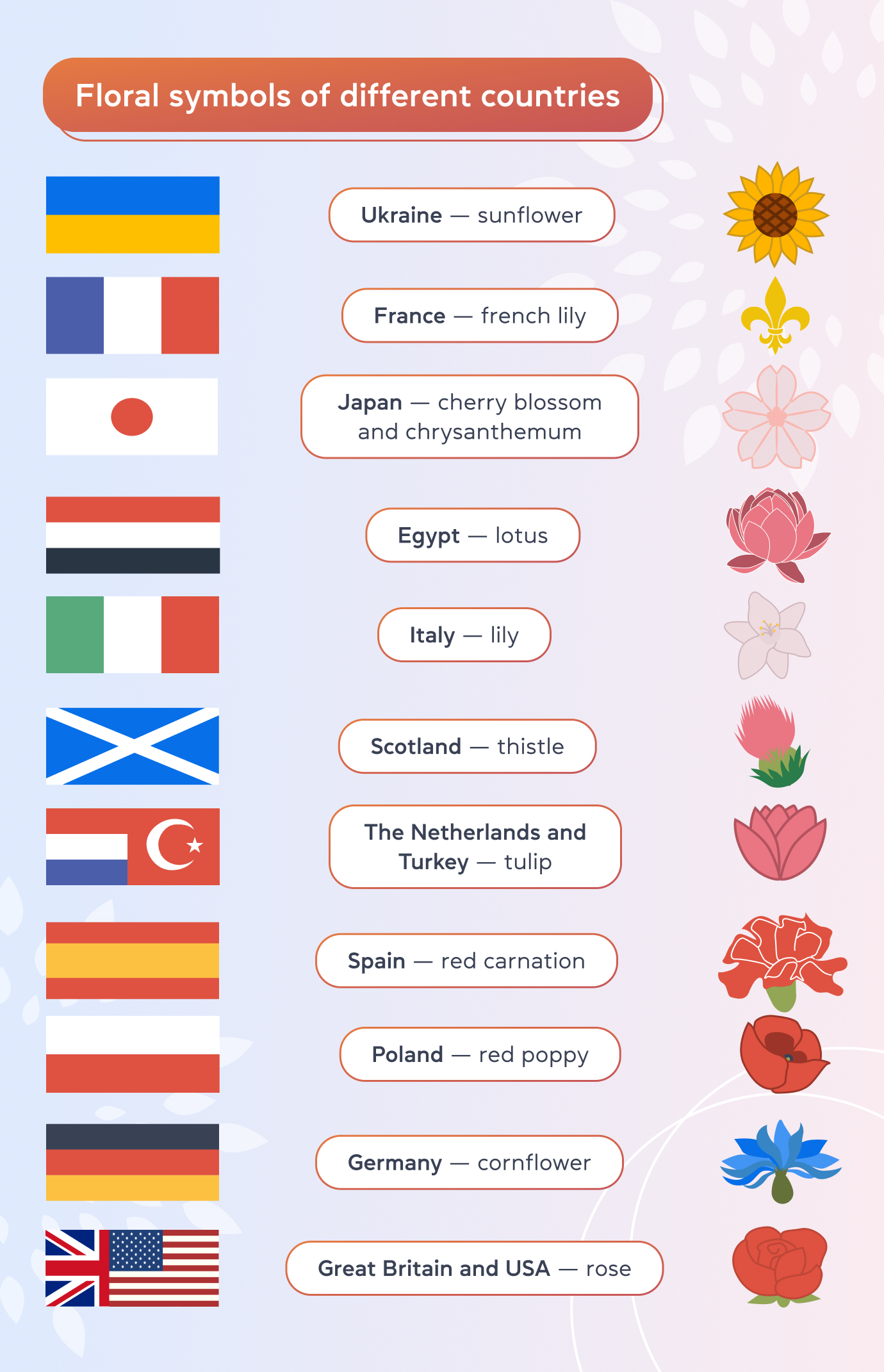 Названия цветов на английском языке: изучение слов • Cambridge.ua