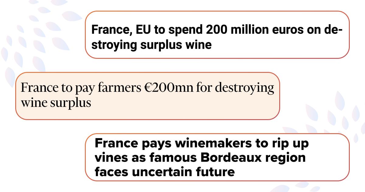 Во Франции будут уничтожать вино — новости на английском