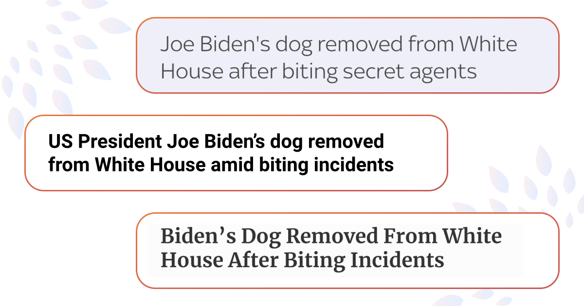 Собаку Байдена выгнали из Белого дома