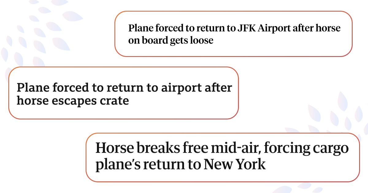 Самолет вернулся в аэропорт после того, как лошадь на его борту вырвалась из клетки