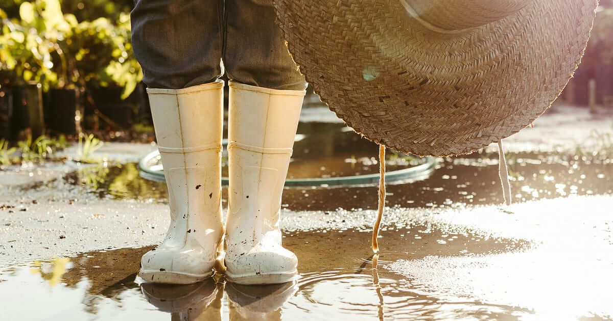 Погода на английском языке: полная лексика для описания и идиомы - Блог Cambridge ua