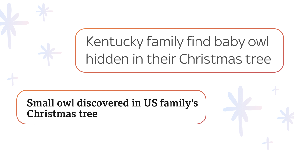 Сім'я з США отримала різдвяний бонус до ялинки — сову