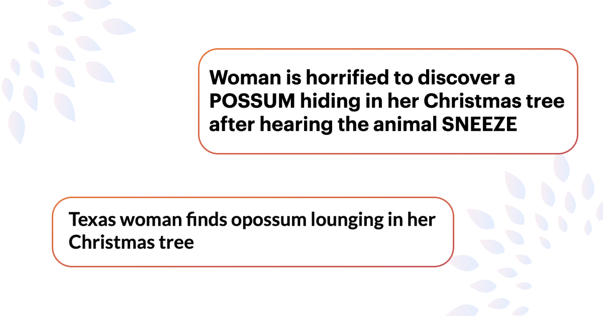 Жителька Техасу знайшла опосума на своїй новорічній ялинці