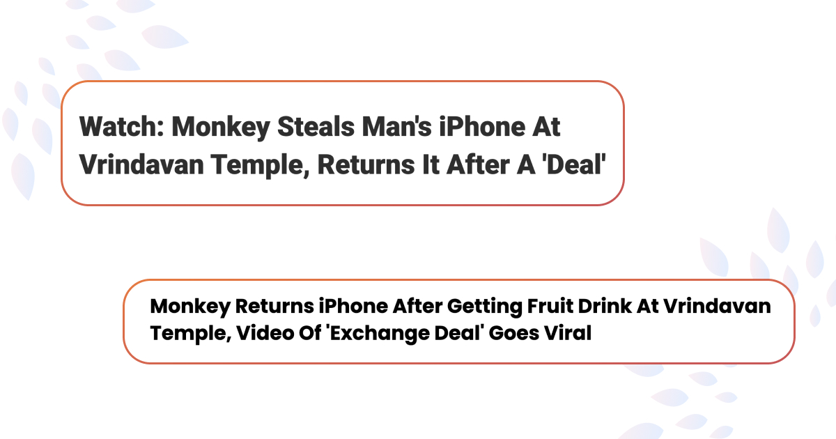 Мужчина договорился с обезьяной, которая украла его телефон