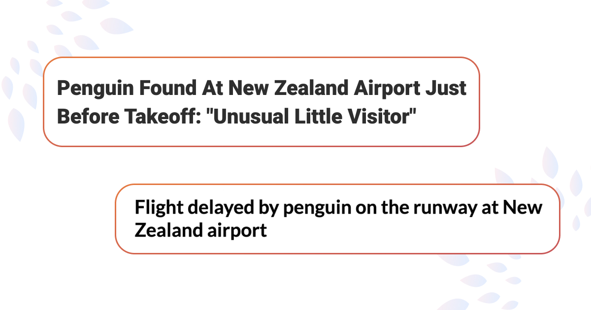 Вылет самолета задержал птенец самого маленького в мире пингвина