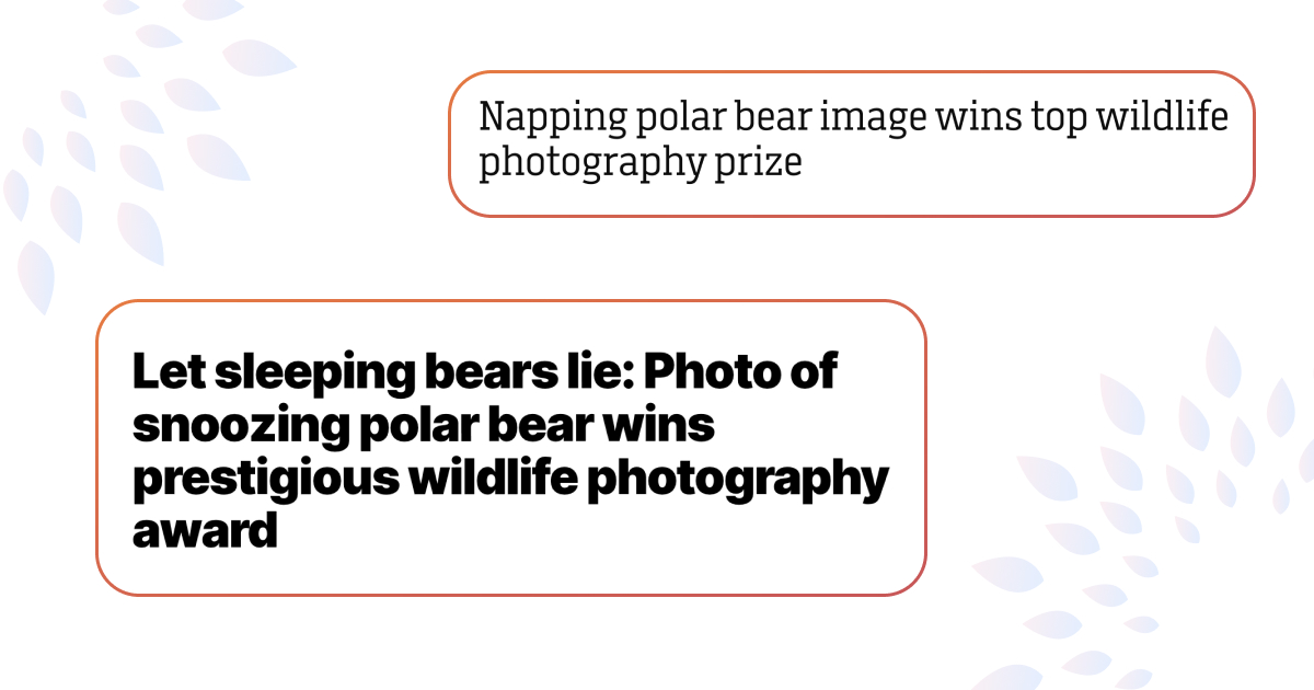 Найкращі фото дикої природи: сплячий білий ведмідь підкорив глядачів
