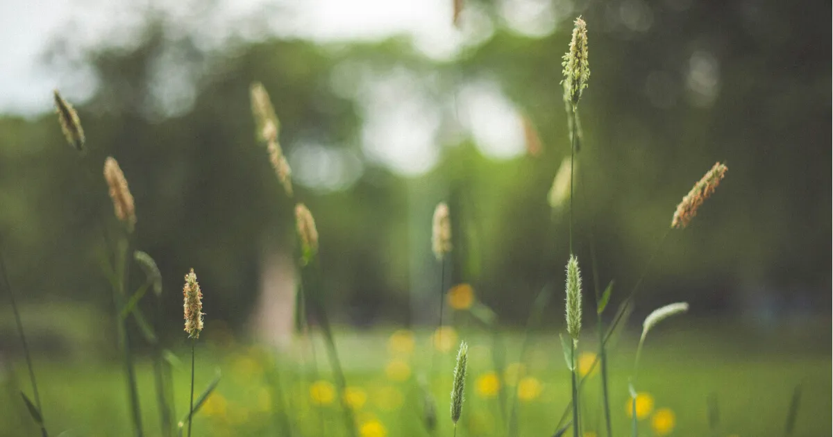 Слова про весну для студентів з B2