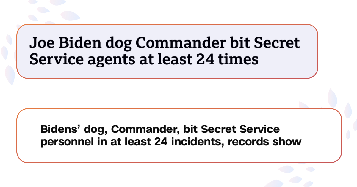 Собака Байдена по меньшей мере 24 раза кусала агентов Секретной Службы