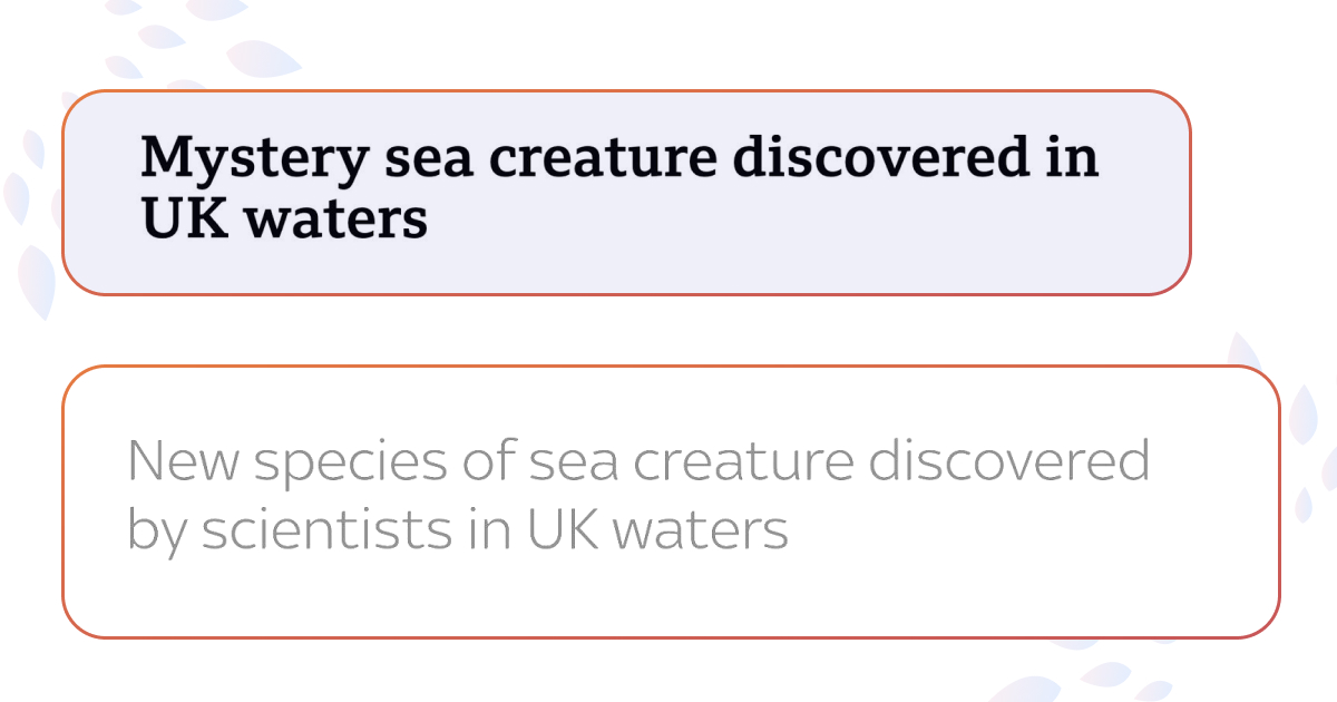 В водах Великобритании обнаружили новый вид морских существ