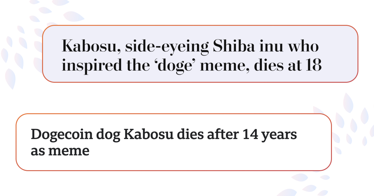 В Японії померла відома собака Doge