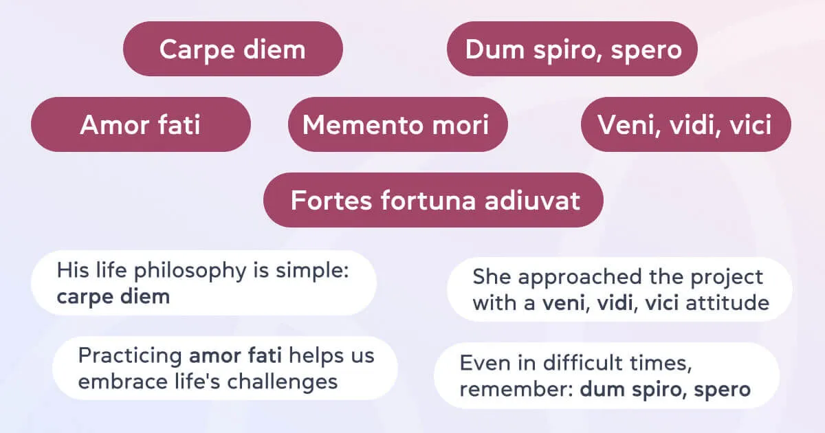 Крилаті вислови, афоризми та прислів&rsquo;я на латині про життя та мудрість