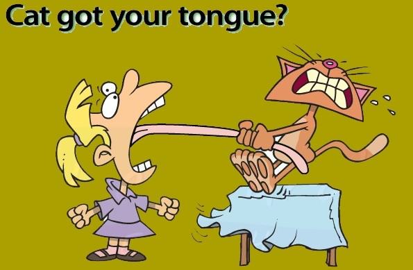 cat idioms cat got your toungue